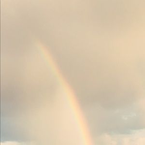 Meet your Posher, Leo